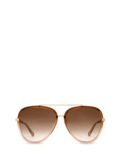 Chloé Sunglasses In Brown