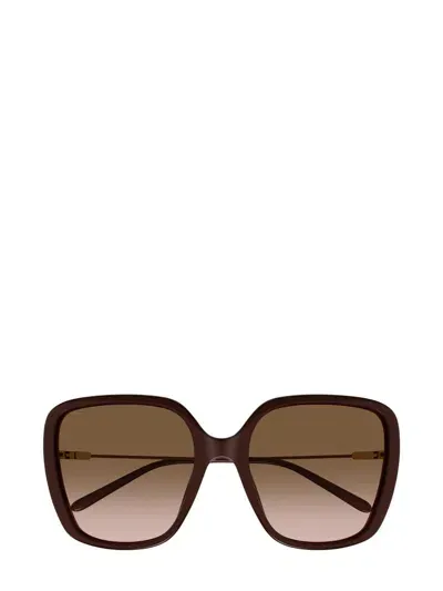 Chloé Sunglasses In Brown