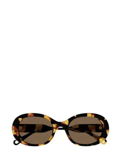 Chloé Sunglasses In Brown