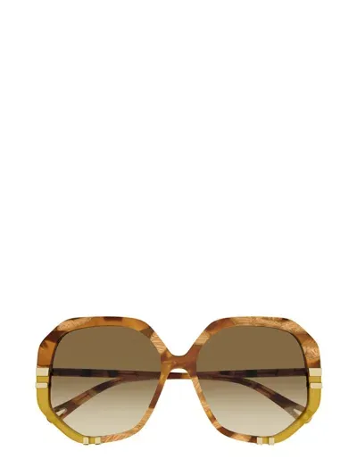 Chloé Sunglasses In Brown