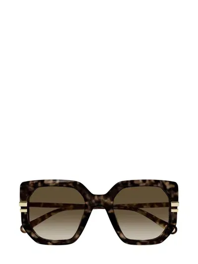 Chloé Sunglasses In Brown