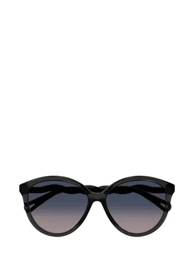 Chloé Sunglasses In Black