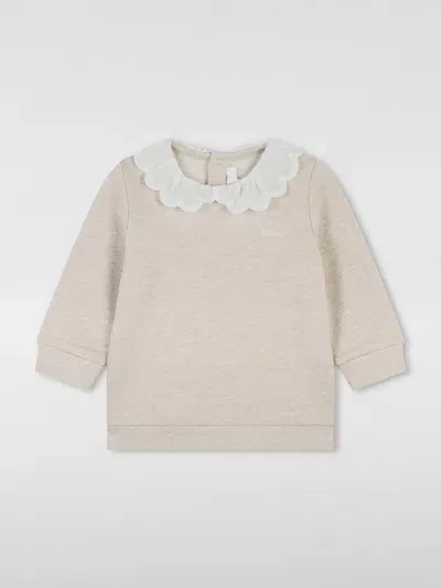 Chloé Sweater  Kids Color Brown In Braun