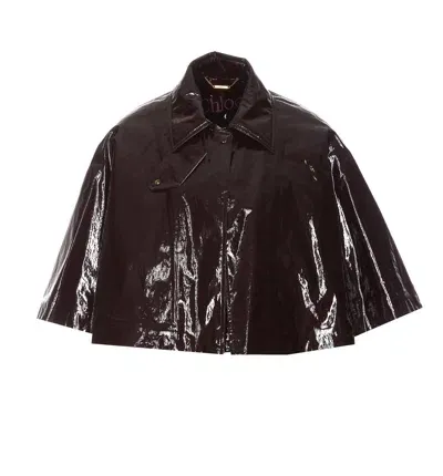 Chloé Cropped Waxed Jacket In Brown