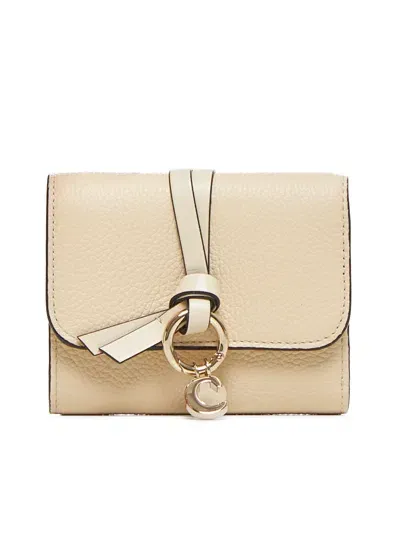 Chloé Wallet In Sweet Beige