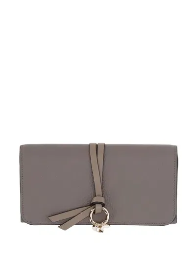 Chloé Wallets In Cashmere Grey