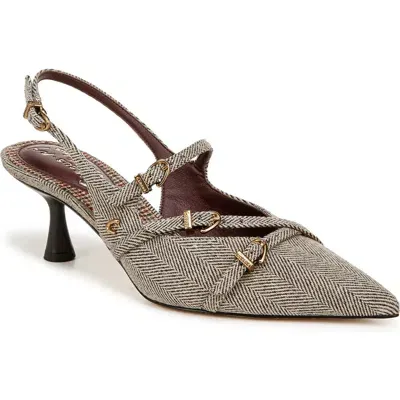 Circus Ny By Sam Edelman Fraya Slingback Pointed Toe Pump In Brown,natural Tweed Multi