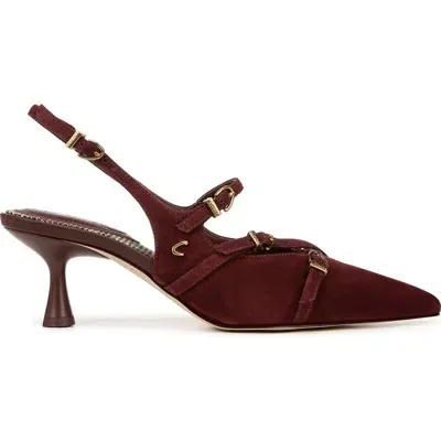 Circus Ny By Sam Edelman Fraya Slingback Pointed Toe Pump In Spiced Plum Suede