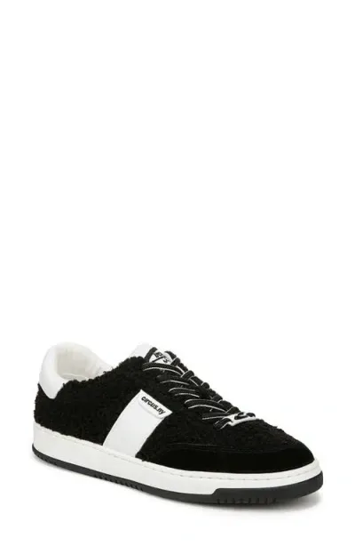 Circus Ny By Sam Edelman Vance Cozy Faux Shearling Sneaker In Black,white Multi