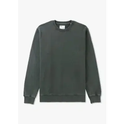 Colorful Standard Mens Classic Crew Neck Sweatshirt In Hunter Green