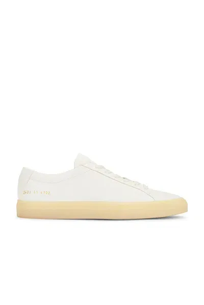 Common Projects Achilles Sneakers In White