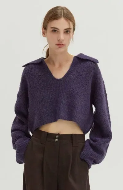 Crescent Waffle Polo Crop Sweater In Purple