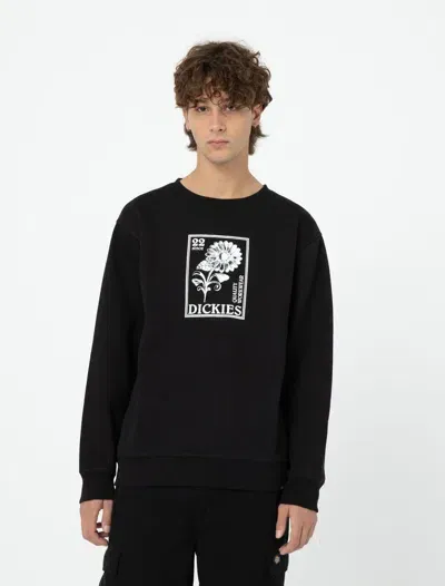 Dickies Garden Plain Sweatshirt In Black