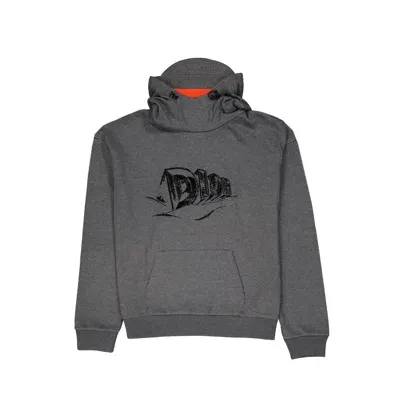 Dior Logo Hooded Sweatshirt In Gray