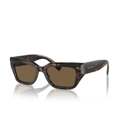 Dolce &amp; Gabbana Eyewear Dg4462 502/73 Sunglasses In Tartarugato