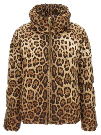 Dolce & Gabbana Animalier Down Jacket In Animal Print