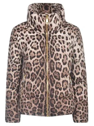 Dolce & Gabbana Brown Down Jacket With High-neck With All-over Leo Print In Nylon