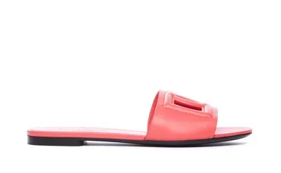 Dolce & Gabbana Dg Logo Slides In Coral Red