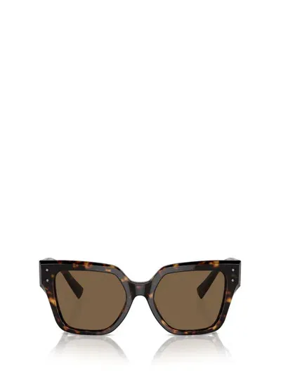 Dolce & Gabbana Eyewear In Brown