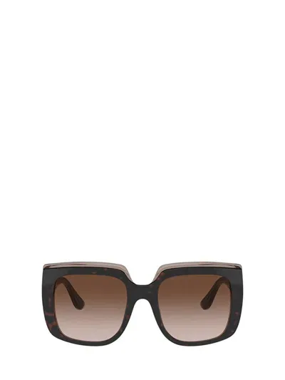 Dolce & Gabbana Eyewear Sunglasses In Havana On Transparent Brown