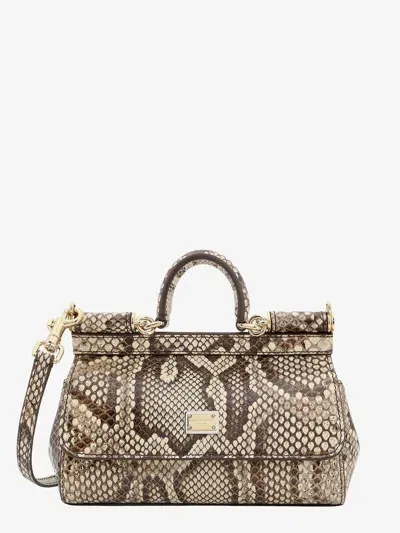 Dolce & Gabbana Handbag In White