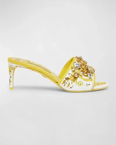 Dolce & Gabbana Keira Printed Crystal Mule Sandals In Hg3ob