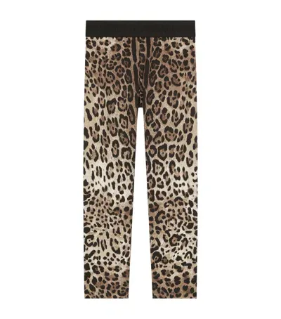 Dolce & Gabbana Kids' Leopard Print Leggings In Brown