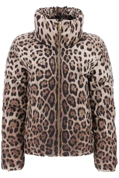 Dolce & Gabbana Leopard Print Short Puffer Jacket In Brown