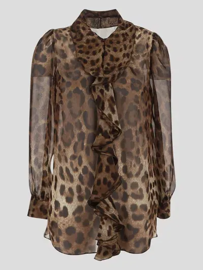 Dolce & Gabbana Leopard Shirt In Brown