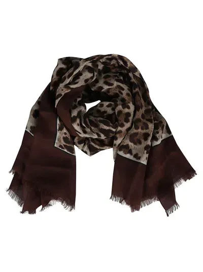 Dolce & Gabbana Fringed Scarf In Leo Bordo Marrone