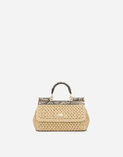 Dolce & Gabbana Small Sicily Handbag In Gold