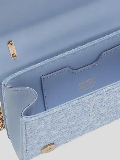 Dolce & Gabbana Small Leather Goods In Blue