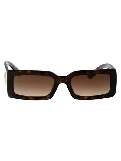 Dolce & Gabbana Sunglasses In 502/13 Havana