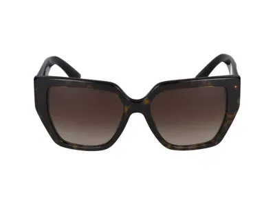 Dolce & Gabbana Sunglasses In Brown