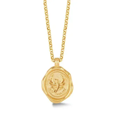 Dower & Hall Gold Men's Fly High Phoenix Talisman Necklace In Vermeil