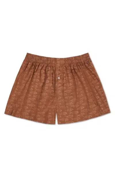 Druthers Nyc Organic Cotton School Of Fish Boxer Short In Terra Cotta Fish