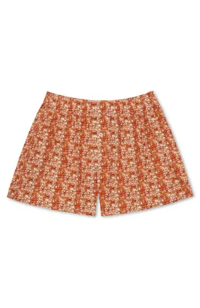 Druthers Nyc Organic Cotton Takeshi Matsumi Cone Shell Boxer Short In Orange