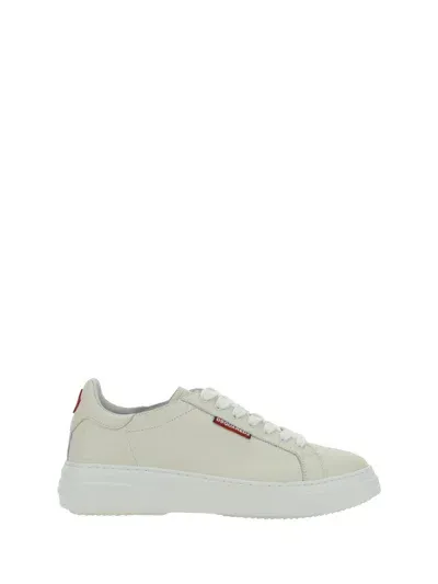 Dsquared2 Sneakers In Avorio