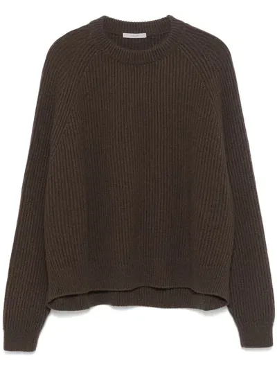 Dušan Cashmere Sweater In 褐色