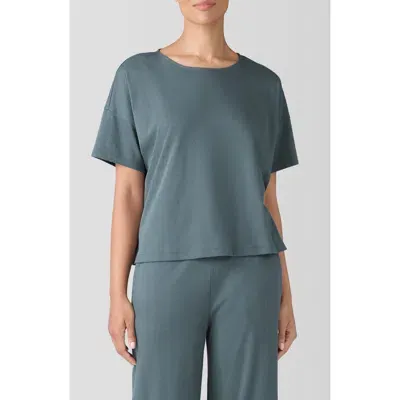 Eileen Fisher Sleep Boxy Organic Cotton Pajama Top In Eucalyptus