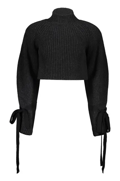 Ellery Long Sleeve Crew-neck Sweater In Black