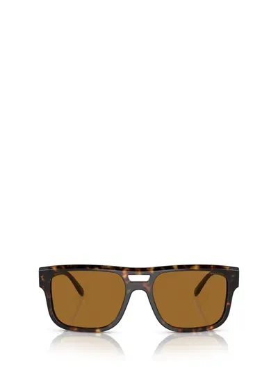 Emporio Armani Sunglasses In Brown