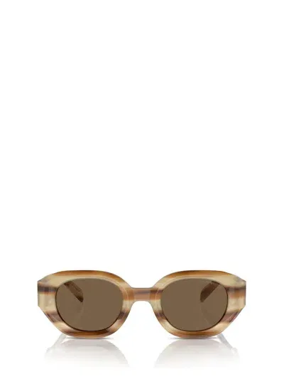 Emporio Armani Sunglasses In Striped Brown