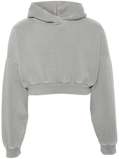 Entire Studios Cropped Heavy Hood In Grey