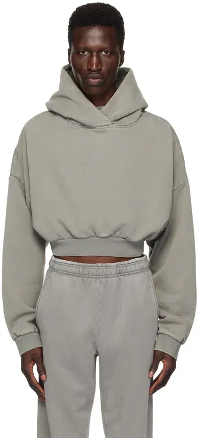 Entire Studios Heavy Cropped Hoodie In Grey