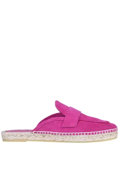 Eqüitare Ghana Mules In Fuxia