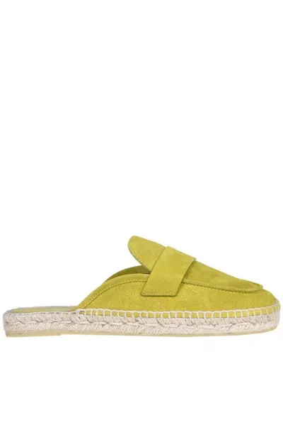 Eqüitare Ghana Mules In Lime