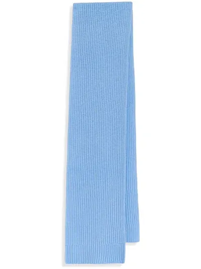 Essentiel Antwerp Gonovan Scarf In Blue