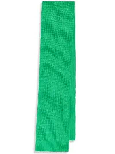 Essentiel Antwerp Gonovan Scarf In Green