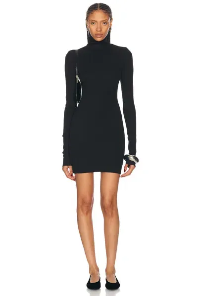 Éterne Long Sleeve Turtleneck Mini Dress In Black